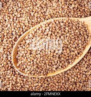 vue de dessus des grains de sarrasin rôtis dans une cuillère en bois Banque D'Images