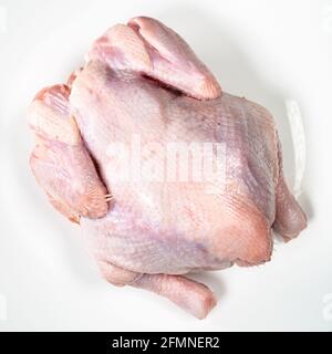 vue de dessus du poulet non cuit refroidi à l'air entier sur blanc plaque Banque D'Images