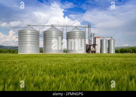 Silo agricole avec blé en premier plan - stockage et séchage de céréales, blé, maïs, soja, tournesol contre le ciel bleu avec des nuages blancs Banque D'Images