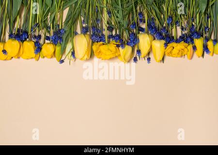 Belles fleurs de tulipe avec un endroit pour le texte de dessous. Vue de la mise en page ci-dessus pour les ventes de vêtements, le 8 mars et les autres jours fériés Banque D'Images