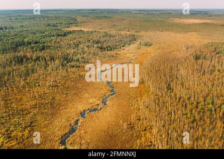 Vue aérienne de l'herbe sèche et de la rivière Buzyanka ou du paysage de la rivière Serguch en automne. Vue de haut niveau. Marais Bog. Vue de drone. Vue plongeante Banque D'Images