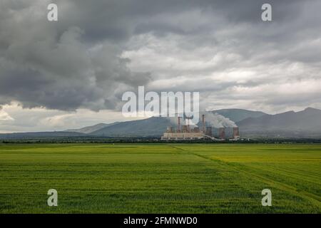 Usine dans le champ vert. Nuageux Banque D'Images