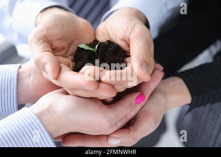 Beaucoup de mains tenant le petit germe vert avec la terre Banque D'Images