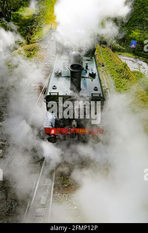 Great Western Pannier Tank 1336 classe n° 1369, construit en 1933, conduit par Andy Letts est donné à plein de vapeur en avant pour entrer dans la gare à la vapeur de South Devon Railway (SDR) à Buckfastleigh, South Devon, où le personnel, Les pilotes et les ingénieurs vérifient l'équipement alors qu'ils préparent l'attraction pour se préparer à la réouverture au public, le lundi 17 mai, avant de relâcher davantage les restrictions de verrouillage en Angleterre. Date de la photo: Mardi 11 mai 2021. Banque D'Images