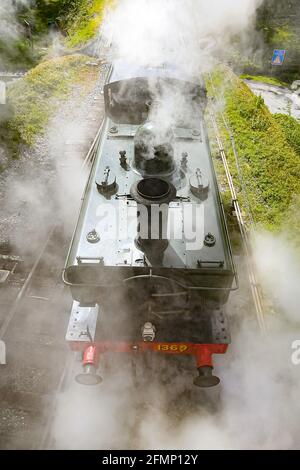 Great Western Pannier Tank 1336 classe n° 1369, construit en 1933, conduit par Andy Letts est donné à plein de vapeur en avant pour entrer dans la gare à la vapeur de South Devon Railway (SDR) à Buckfastleigh, South Devon, où le personnel, Les pilotes et les ingénieurs vérifient l'équipement alors qu'ils préparent l'attraction pour se préparer à la réouverture au public, le lundi 17 mai, avant de relâcher davantage les restrictions de verrouillage en Angleterre. Date de la photo: Mardi 11 mai 2021. Banque D'Images
