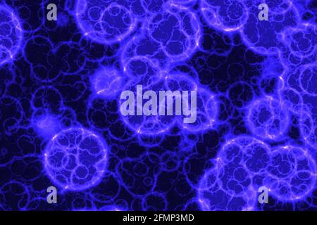 ombre artistique biologique décoratif ordinateur graphique arrière-plan texture illustration Banque D'Images