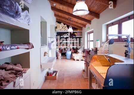 Vue d'une des salles de l'atelier à l'intérieur de la ferme Vannulo, l'un des principaux producteurs de Mozzarella en Italie. Capaccio Scalo, Salerno, Campanie Banque D'Images