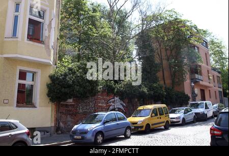 Berlin, Allemagne. 11 mai 2021. Une croissance sauvage s'est formée sur les ruines d'un immeuble d'appartements à Metfesselstraße 7 à Berlin-Kreuzberg, où le premier ordinateur fonctionnel au monde a été inventé. Dans le salon de ses parents, Konrad Zuse a développé une machine à calculer qui ferait automatiquement les calculs fastidieux des ingénieurs de la structure. C'était le précurseur du premier ordinateur numérique au monde. Ce premier ordinateur fonctionnel, le Z3, a été mis en service pour la première fois il y a exactement 80 ans - le 12 mai 1941. Credit: Wolfgang Kumm/dpa/Alay Live News Banque D'Images