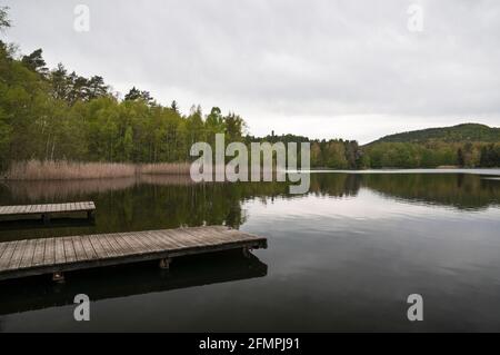 Hanau (lac etang de Hanau), Philippsbourg, Parc Naturel Régional des Vosges du Nord, Moselle (57), région Grand Est, en France. Banque D'Images