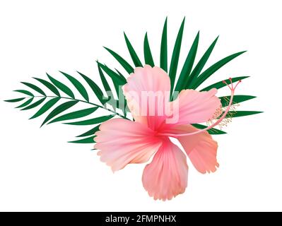 Fleur d'hibiscus rose avec feuilles de palmier isolées sur fond blanc. Illustration vectorielle Illustration de Vecteur