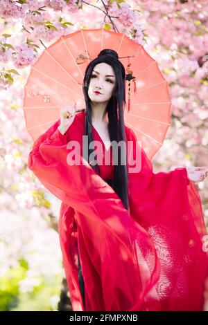 Jeune femme en image de geisha marche entre les sakura en fleurs habillée de kimono traditionnel japonais avec parapluie dans sa main. Banque D'Images