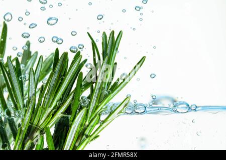 Bouquet de romarin frais dans de l'eau avec des bulles. Banque D'Images