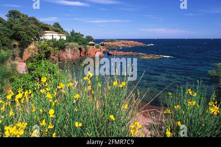 Le bord de mer dans l'Esterel en Provence Banque D'Images