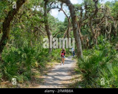 Les gens sur le sentier de la nature William S Boylston est un 0.9 km de piste en boucle légèrement fréquentées dans l'État de la rivière Myakka Parc à Sarasota Floride États-Unis Banque D'Images