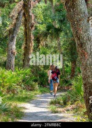 Les gens sur le sentier de la nature William S Boylston est un 0.9 km de piste en boucle légèrement fréquentées dans l'État de la rivière Myakka Parc à Sarasota Floride États-Unis Banque D'Images