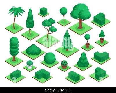 Arbres 3d isométriques. Parc de la ville ou arbres forestiers plantes, buissons, pots de fleurs. Épicéa, palmier, clôtures vertes de jardin éléments de paysage ensemble vectoriel. Nature avec cubes d'herbe, écologie extérieure Illustration de Vecteur