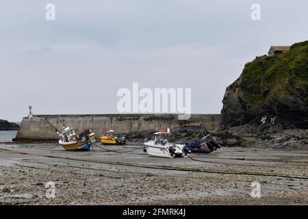 Port Issac Port avec bateaux de pêche et bateau de plaisance au nord Cornwall Angleterre Royaume-Uni Banque D'Images