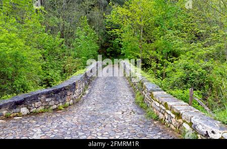 Entrée du pont romain, Poo de Cabrales, ancien village rustique des Asturies, Espagne Banque D'Images