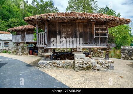 Horreo à Riocaliente, Asturies, Espagne. Grenier typique du nord-ouest espagnol élevé par des piliers Banque D'Images