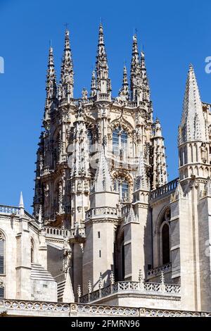 Dôme gothique de la face est de la cathédrale de Burgos, Burgos, Castille et Leon. Espagne Banque D'Images