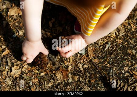 Vue sur une jeune fille portant une robe jaune avec des rayures blanches. L'enfant prend des pommes de pin au-dessus d'un sol boisé avec un han Banque D'Images