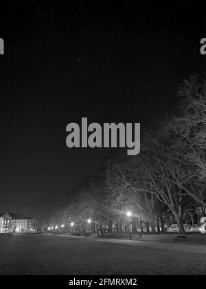 Szczecin, Pologne - Parc Kasprowicza la nuit, nuit étoilée, randonnées nocturnes, arbres et branches Banque D'Images