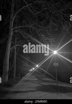 Szczecin, Pologne - Parc Kasprowicza la nuit, nuit étoilée, randonnées nocturnes, arbres et branches Banque D'Images