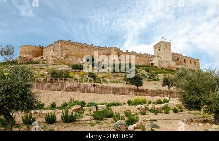 château de Medellin, province de Badajoz, Estrémadure, Espagne Banque D'Images