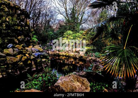 Cascade tropicale à Iveagh Gardens, Dublin, Irlande Banque D'Images