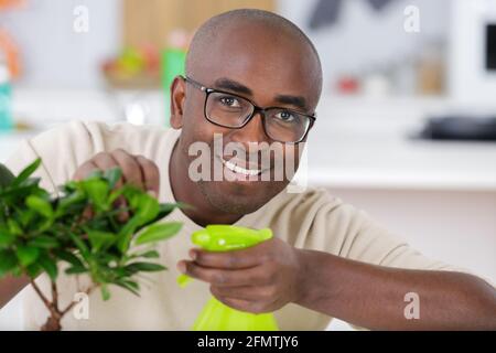 Un homme d'arroser les feuilles bonsai Banque D'Images