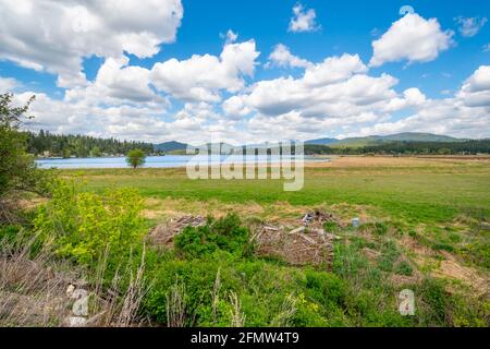 Le grand marais et le lac de la zone de conservation McKenzie à Newman Lake, Washington, États-Unis Banque D'Images