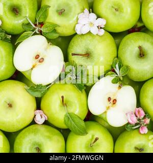 Pommes fruits vert pomme fruit carré fond avec feuilles et nourriture de fleurs Banque D'Images