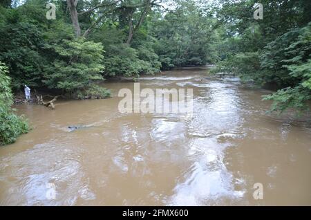 Osun Osogbo, Osun Sacred Grove and River : rivière à écoulement rapide Osun Banque D'Images