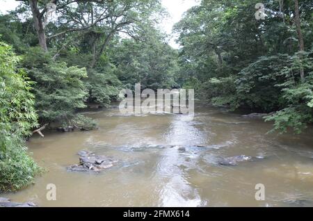 Osun Osogbo, Osun Sacred Grove and River: Rapide, énergique, virile Osun River. Banque D'Images