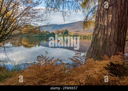 Loch Alvie, Aviemore, Écosse, Royaume-Uni Banque D'Images