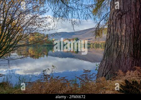 Loch Alvie, Aviemore, Écosse, Royaume-Uni Banque D'Images