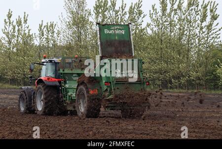 Sur un froid mai après-midi de puck ou de fumier, est répandu sur les champs bordés d'arbres le long de Gorst Lane, Burscough pour améliorer le sol. Banque D'Images