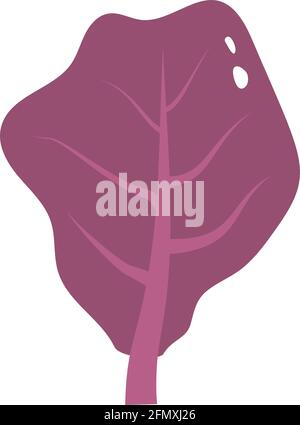 Icône de feuille de laitue isolée sur fond blanc. Illustration vectorielle plate. Illustration de Vecteur