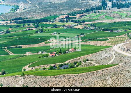 Paysage agricole de la vallée de l'Okanagan sur journée d'été. Banque D'Images
