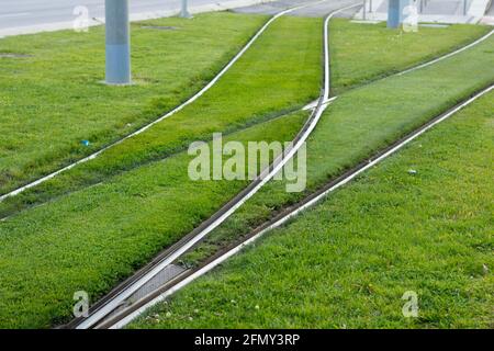 Rails sur l'herbe du tramway urbain ; pistes métalliques sur lesquelles le tramway électrique circule. Train où passe le tramway public. Banque D'Images