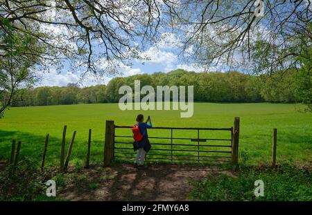 Une porte d'entrée avec une belle vue de printemps sur les bois et les prairies avec des fleurs de butterbutterbup. Femme avec un appareil photo de smartphone prenant des photos. Banque D'Images