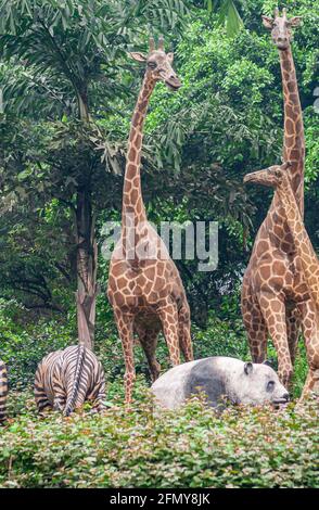 Chongqing, Chine - 9 mai 2010 : à l'intérieur d'un zoo ou d'un parc animalier. Portrait d'un groupe de statues avec zèbre, girafe et panda dans un feuillage vert et une fleur Banque D'Images