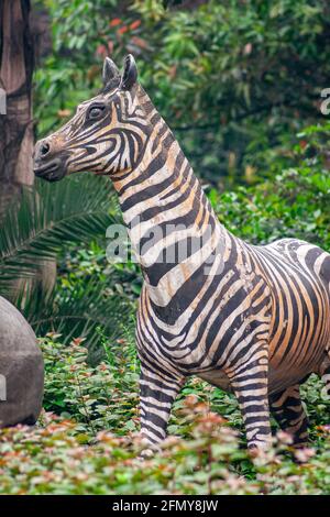 Chongqing, Chine - 9 mai 2010 : à l'intérieur d'un zoo ou d'un parc animalier. Gros plan de la statue de zébra dans un feuillage vert. Banque D'Images