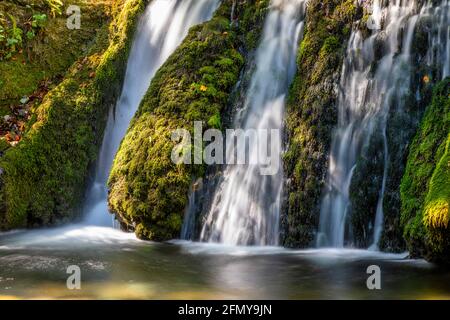 Célèbre chute d'eau de Bigar, comté de Caras-Severin, Roumanie Banque D'Images