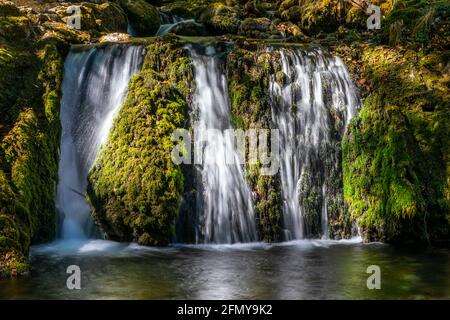 Célèbre chute d'eau de Bigar, comté de Caras-Severin, Roumanie Banque D'Images