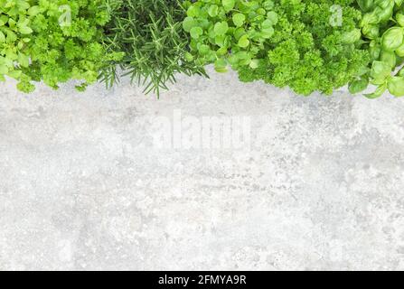 Herbes fraîches sur fond de table en pierre. Persil, basilic, romarin, menthe Banque D'Images