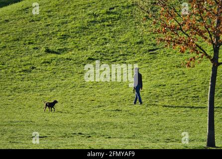 MUNICH, ALLEMAGNE - 11 mai 2021 : le propriétaire marche avec son chien dans le parc de Munich. Le chien court joyeusement sur la prairie verte Banque D'Images