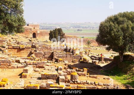 Ruines de Chellah, Rabat, Maroc Banque D'Images