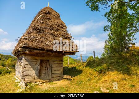 Maison traditionnelle en bois dans les montagnes Apuseni en Transylvanie, Roumanie. L'endroit est connu sous le nom de "pays de Motilor". La maison est faite exclusivement en bois Banque D'Images