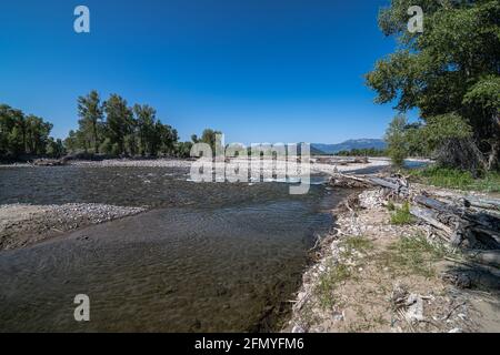 Rivière gros-ventre, parc national de Grand-Teton, Wyoming Banque D'Images